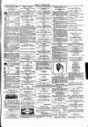 Wexford People Saturday 13 October 1894 Page 3