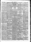 Wexford People Wednesday 24 October 1894 Page 5