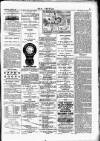 Wexford People Wednesday 31 October 1894 Page 3