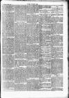 Wexford People Wednesday 31 October 1894 Page 7