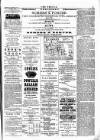 Wexford People Wednesday 14 November 1894 Page 3
