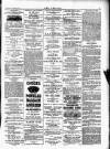 Wexford People Wednesday 21 November 1894 Page 3