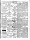 Wexford People Saturday 12 January 1895 Page 3