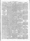 Wexford People Saturday 12 January 1895 Page 5