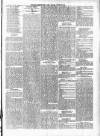 Wexford People Saturday 12 January 1895 Page 11