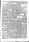 Wexford People Wednesday 16 January 1895 Page 5