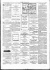 Wexford People Saturday 19 January 1895 Page 3