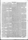 Wexford People Saturday 19 January 1895 Page 5