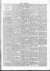 Wexford People Saturday 19 January 1895 Page 7