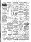 Wexford People Wednesday 23 January 1895 Page 3