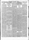 Wexford People Saturday 26 January 1895 Page 11