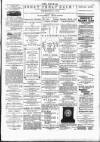 Wexford People Wednesday 20 February 1895 Page 3