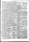 Wexford People Wednesday 20 February 1895 Page 5