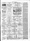 Wexford People Wednesday 13 March 1895 Page 3