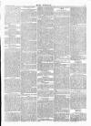 Wexford People Saturday 11 May 1895 Page 5