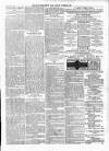 Wexford People Saturday 11 May 1895 Page 11