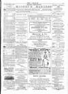 Wexford People Saturday 18 May 1895 Page 3