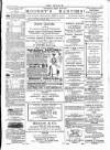 Wexford People Saturday 25 May 1895 Page 3