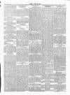 Wexford People Saturday 25 May 1895 Page 5