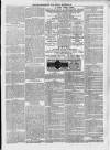 Wexford People Saturday 25 May 1895 Page 11