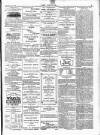 Wexford People Wednesday 12 June 1895 Page 3