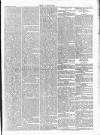 Wexford People Wednesday 12 June 1895 Page 7