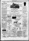 Wexford People Saturday 22 June 1895 Page 3