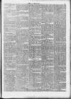 Wexford People Saturday 29 June 1895 Page 7