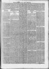 Wexford People Saturday 29 June 1895 Page 11