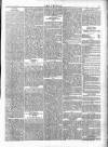 Wexford People Wednesday 16 October 1895 Page 5