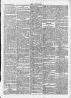 Wexford People Wednesday 23 October 1895 Page 5