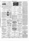 Wexford People Wednesday 13 November 1895 Page 3