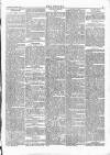 Wexford People Wednesday 13 November 1895 Page 5