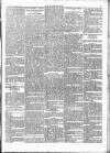 Wexford People Wednesday 18 December 1895 Page 7