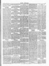 Wexford People Saturday 15 February 1896 Page 5