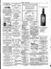 Wexford People Wednesday 26 February 1896 Page 3
