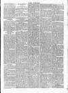 Wexford People Wednesday 26 February 1896 Page 5