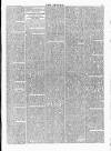 Wexford People Wednesday 26 February 1896 Page 7