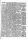 Wexford People Wednesday 22 April 1896 Page 5