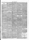 Wexford People Wednesday 29 April 1896 Page 5