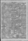 Wexford People Saturday 25 July 1896 Page 4