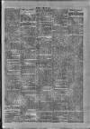 Wexford People Saturday 25 July 1896 Page 6