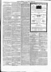 Wexford People Saturday 25 July 1896 Page 10