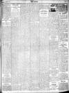 Wexford People Wednesday 16 October 1907 Page 7