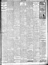 Wexford People Saturday 23 November 1907 Page 13