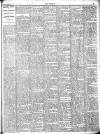 Wexford People Saturday 22 February 1908 Page 13