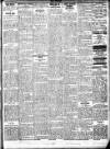 Wexford People Saturday 20 January 1917 Page 3