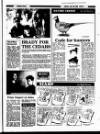 Wexford People Friday 25 July 1986 Page 31