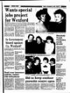 Wexford People Friday 19 December 1986 Page 19