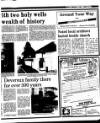 Wexford People Friday 06 February 1987 Page 45